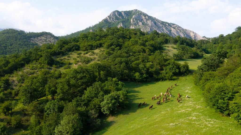 Green Armenian countryside with mountain landscapes
